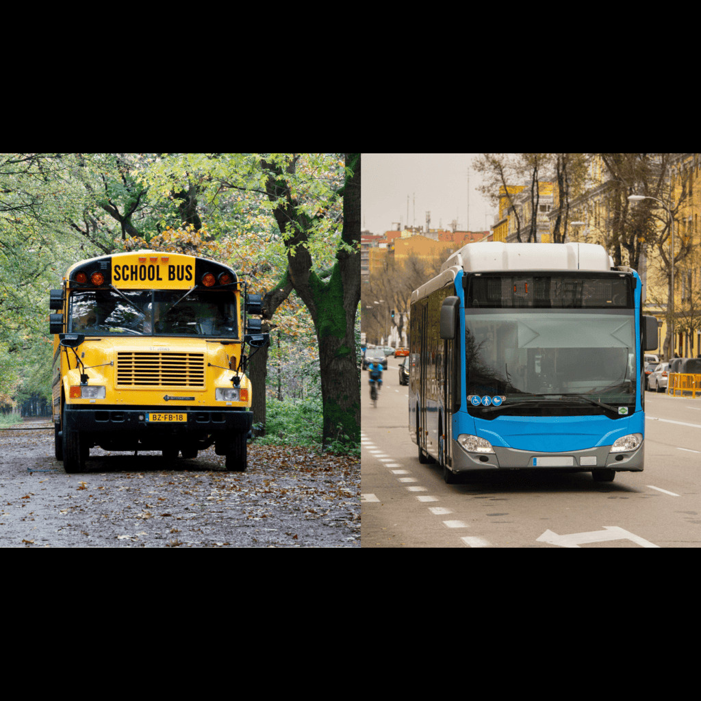 charter bus vs school bus​